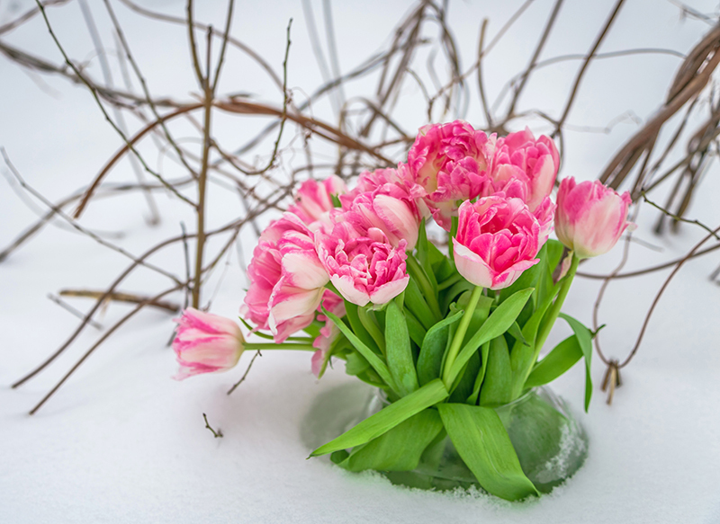 flowers florists